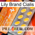 Lily Brand Cialis new05